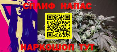 прущие грибы Будённовск