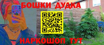 прущие грибы Будённовск