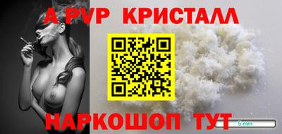 прущие грибы Будённовск