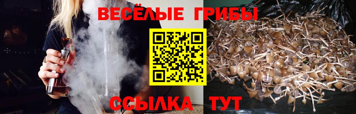 Протвино  Псилоцибиновые грибы прущие грибы  Вход с VPN 